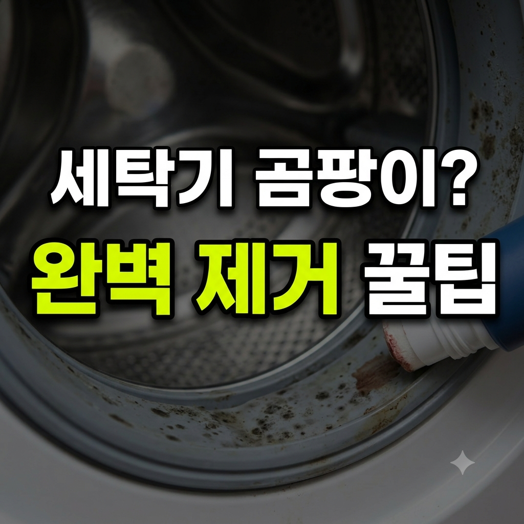 세탁기 곰팡이 썸네일